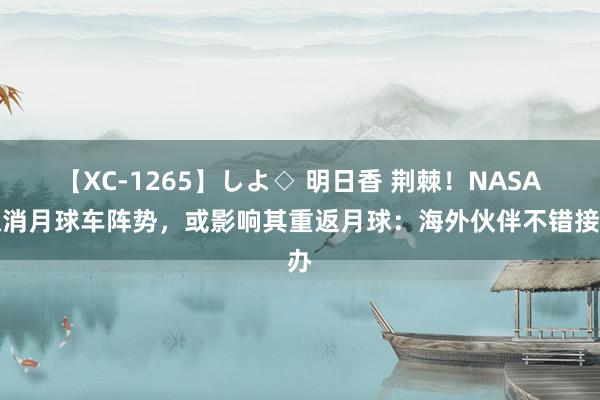 【XC-1265】しよ◇ 明日香 荆棘！NASA取消月球车阵势，或影响其重返月球：海外伙伴不错接办