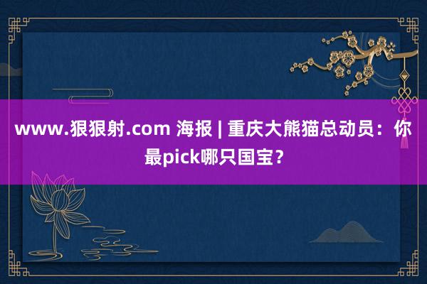 www.狠狠射.com 海报 | 重庆大熊猫总动员：你最pick哪只国宝？