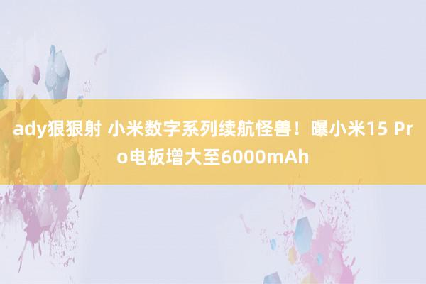 ady狠狠射 小米数字系列续航怪兽！曝小米15 Pro电板增大至6000mAh