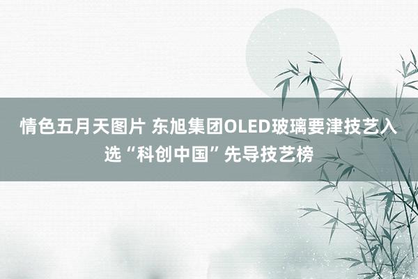 情色五月天图片 东旭集团OLED玻璃要津技艺入选“科创中国”先导技艺榜