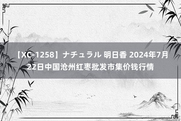 【XC-1258】ナチュラル 明日香 2024年7月22日中国沧州红枣批发市集价钱行情