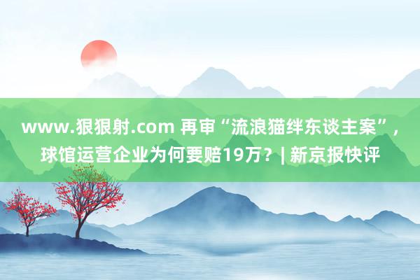 www.狠狠射.com 再审“流浪猫绊东谈主案”，球馆运营企业为何要赔19万？| 新京报快评