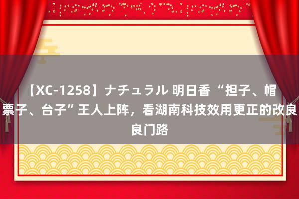 【XC-1258】ナチュラル 明日香 “担子、帽子、票子、台子”王人上阵，看湖南科技效用更正的改良门路