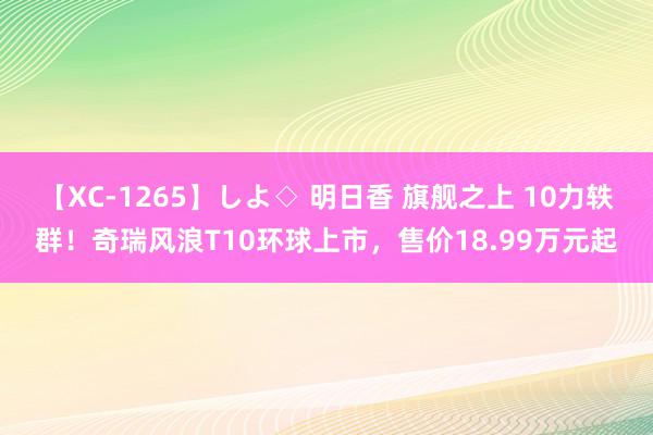 【XC-1265】しよ◇ 明日香 旗舰之上 10力轶群！奇瑞风浪T10环球上市，售价18.99万元起