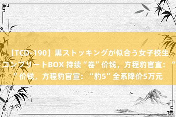 【TCD-190】黒ストッキングが似合う女子校生は美脚ニューハーフ コンプリートBOX 持续“卷”价钱，方程豹官宣：“豹5”全系降价5万元