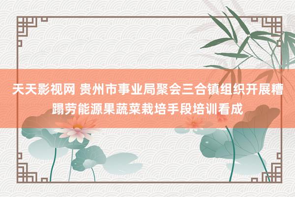 天天影视网 贵州市事业局聚会三合镇组织开展糟蹋劳能源果蔬菜栽培手段培训看成