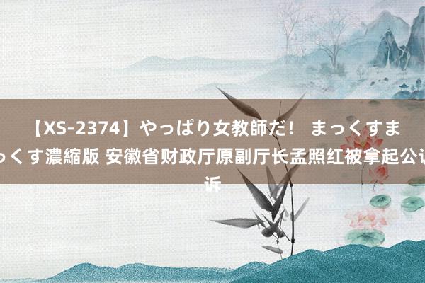 【XS-2374】やっぱり女教師だ！ まっくすまっくす濃縮版 安徽省财政厅原副厅长孟照红被拿起公诉