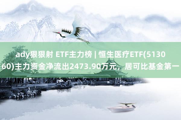 ady狠狠射 ETF主力榜 | 恒生医疗ETF(513060)主力资金净流出2473.90万元，居可比基金第一