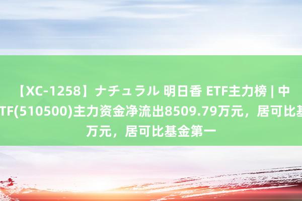 【XC-1258】ナチュラル 明日香 ETF主力榜 | 中证500ETF(510500)主力资金净流出8509.79万元，居可比基金第一