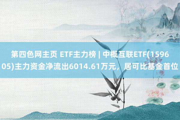 第四色网主页 ETF主力榜 | 中概互联ETF(159605)主力资金净流出6014.61万元，居可比基金首位