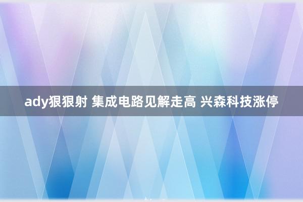 ady狠狠射 集成电路见解走高 兴森科技涨停