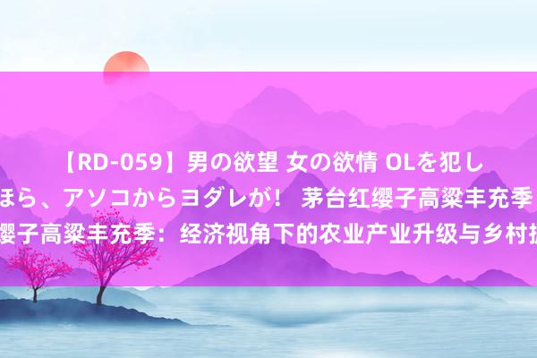 【RD-059】男の欲望 女の欲情 OLを犯したい すました顔して…ほら、アソコからヨダレが！ 茅台红缨子高粱丰充季：经济视角下的农业产业升级与乡村振兴新引擎