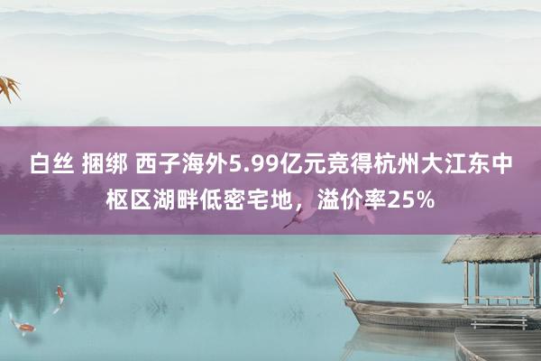 白丝 捆绑 西子海外5.99亿元竞得杭州大江东中枢区湖畔低密宅地，溢价率25%