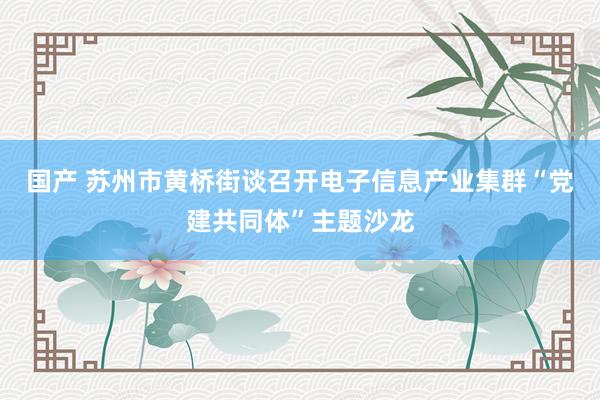 国产 苏州市黄桥街谈召开电子信息产业集群“党建共同体”主题沙龙