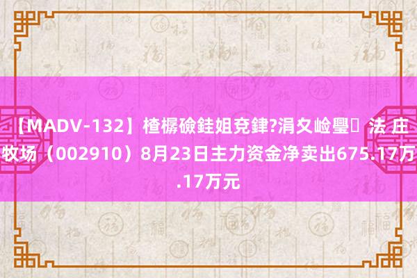 【MADV-132】楂樼礆銈姐兗銉?涓夊崄璺法 庄园牧场（002910）8月23日主力资金净卖出675.17万元