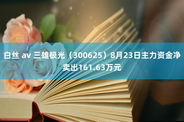 白丝 av 三雄极光（300625）8月23日主力资金净卖出161.63万元