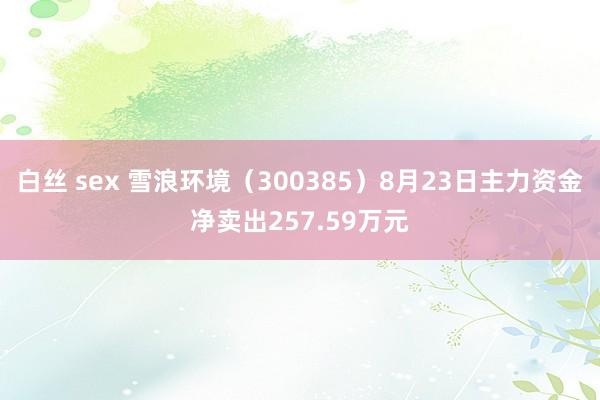 白丝 sex 雪浪环境（300385）8月23日主力资金净卖出257.59万元