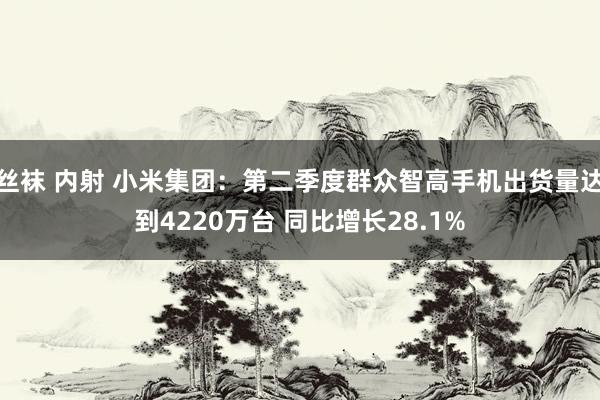 丝袜 内射 小米集团：第二季度群众智高手机出货量达到4220万台 同比增长28.1%